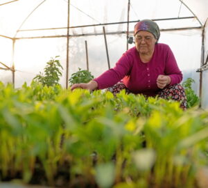 Gıda güvenliği eşitlikle mümkün