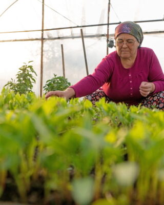 Gıda güvenliği eşitlikle mümkün
