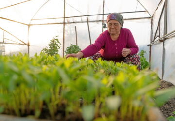 Gıda güvenliği eşitlikle mümkün