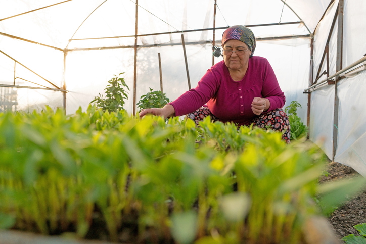 Gıda güvenliği eşitlikle mümkün