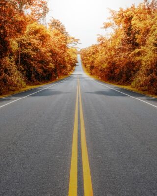 TSKB’den kapsayıcılık odaklı yeni marka: Sarı çizgi