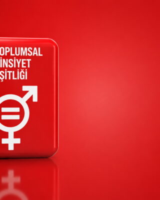 COP31 eşitlik gündeminde kadınlar için ne değişecek?